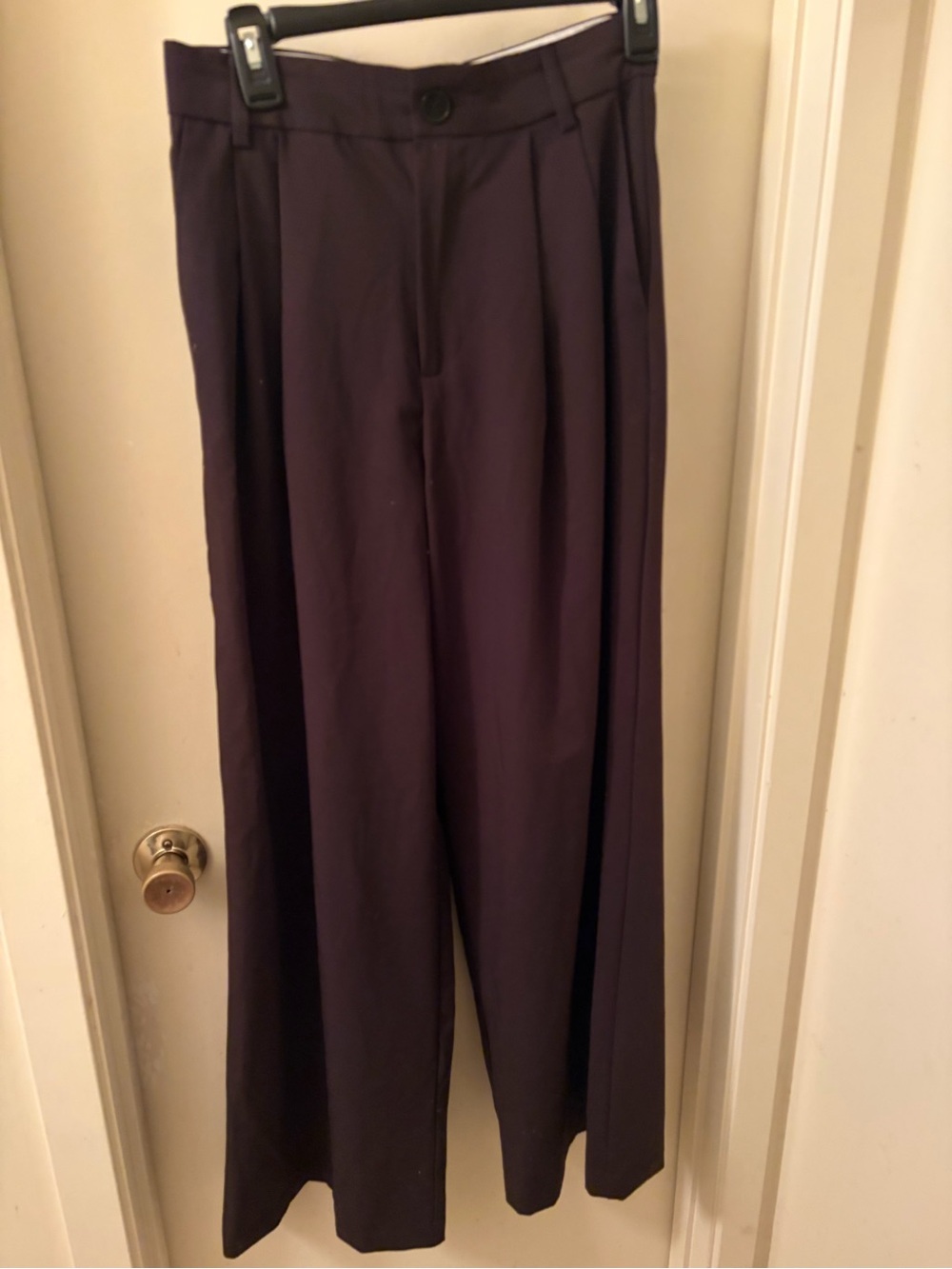 Zara Women’s Wide-Leg Dress Pants
